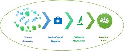 Editorial: Whole Genome Sequencing for rare diseases